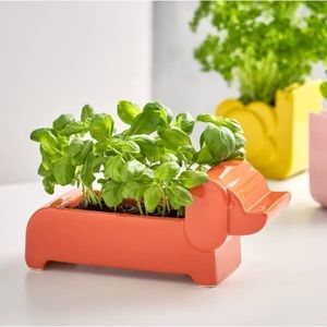 Orla Kiely Dachshund planter - New in Box